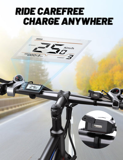 DUOTTS C29 Elektrofahrrad für Erwachsene, E-Mountainbike mit Abnehmbarer 48V 15Ah Akku und 250W Motor, Professionelles 21-Gängen und LCD-Display, Pendlerfahrrad für Herren und Damen