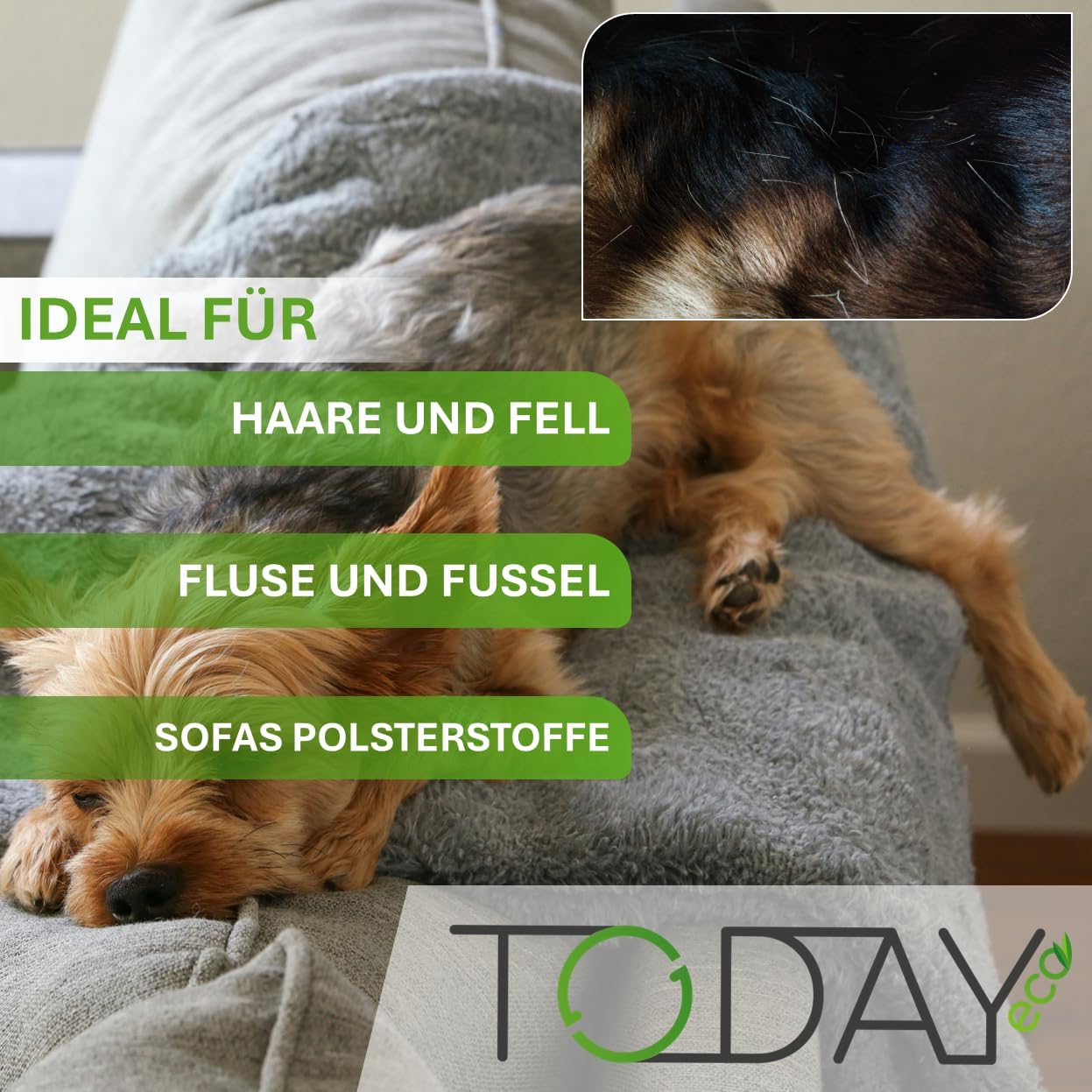 Today - Samt-Fusselbürste - Entfernt sanft Fusseln, Flusen und Haare - Drehbarer Kopf - Für Kleidung, Mäntel und Teppiche