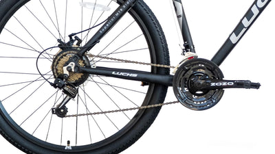 LUCHS Titan – Sportliches MTB mit 21-Gang-Schaltung, Scheibenbremsen & Aluminiumrahmen | 27,5" & 29" Zoll | Für Jungen & Herren - Mountainbike, Jungen & Herren Fahrrad (Grau, 29" Zoll)