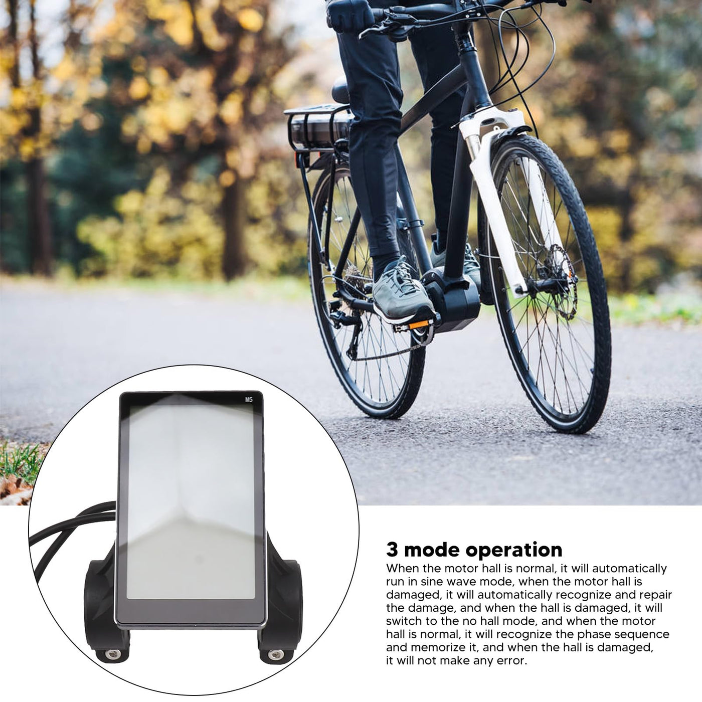 BuyWeek Elektrofahrrad Bürstenloser Motor Controller Kit, 36V 48V 60V 1000W 38A 3 Modus Sinuswellen Controller M5 LCD Anzeigefeld Kit für E-Bike Elektroroller