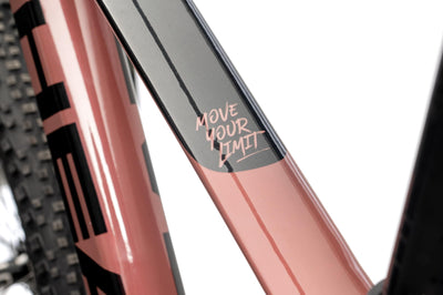 HEAD Women's Trenton Joy Mountain Bike, Rose Gold Metallic, 48