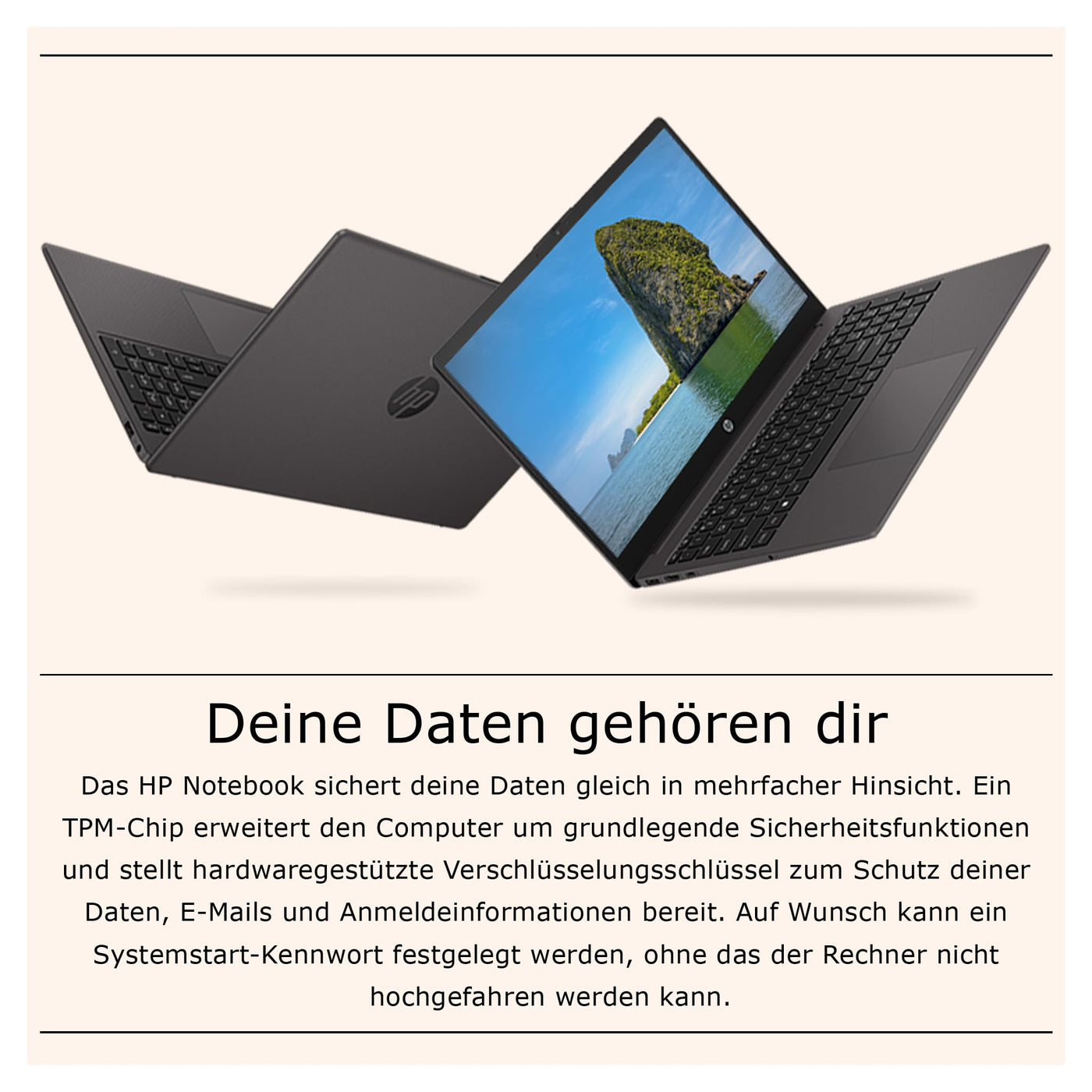 HP 250 G10 Business Laptop, Intel Core i5-1335U, 16 GB DDR4 RAM, 1 TB PCIe SSD, 15.6" IPS FHD Display, Intel Iris Xe Graphics, QWERTZ Tastatur, Windows 11 Pro, Grau