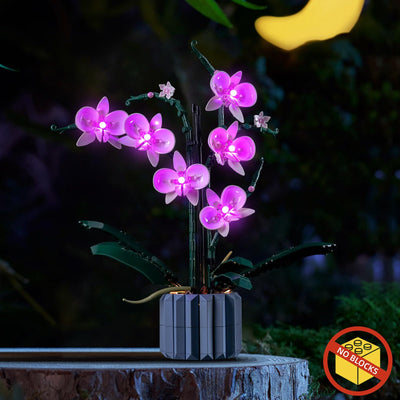 Led Licht Set Kompatibel mit Lego Orchidee (Nur Lichter, kein Baustein), Licht-Kit Compatible with Lego 10311 Orchidee Botanical Collection Set