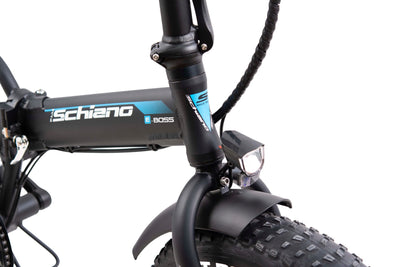 F.lli Schiano E-Boss, E Bike Klappbar 20 Zoll, 36V 10.4Ah Abnehmbarer Akku, Motor 250W 40Nm, Klapprad Ebike für Herren/Damen, Schwarz