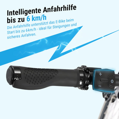 AsVIVA E-Bike B14 Stadtfalter 28 Zoll Citybike - Hollandrad für Damen & Herren | Elektrofahrrad Pedelec 25km/h | Tiefeinsteiger | 250W Motor - 36V 17.5 Ah mit bis zu 150 km Reichweite