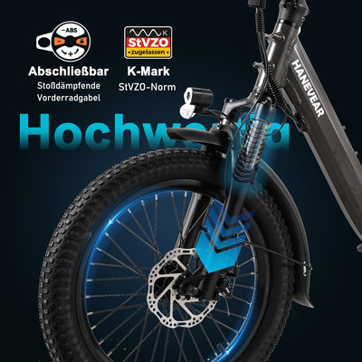 HANEVEAR H6-Light E Bike Klapprad, Elektrofahrräder mit Drehmomentsensor | 48V 14,5Ah Akku bis zu 120km+ | 55N.m 250W-Motor | 3.0'' Fat E-Bike, Off-Road Pedelec EBike Herren Damen (Grau Mit Frontkorb)
