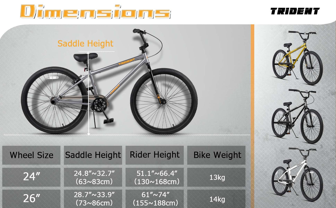 AVASTA 24 Zoll BMX Fahrräder Freestyle für Anfänger und Fortgeschrittene mit 2 Pegs Trick Cycling und Professional Riding,Schwarz