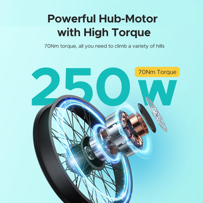 ENGWE E Bike Mountainbike Elektrofahrräder, Ebike 48V 16Ah Akku bis 150km, E-Bike mit 26x4 Zoll Fat Tire, Electric Bike 250W Motor Max. 25km/h, E26