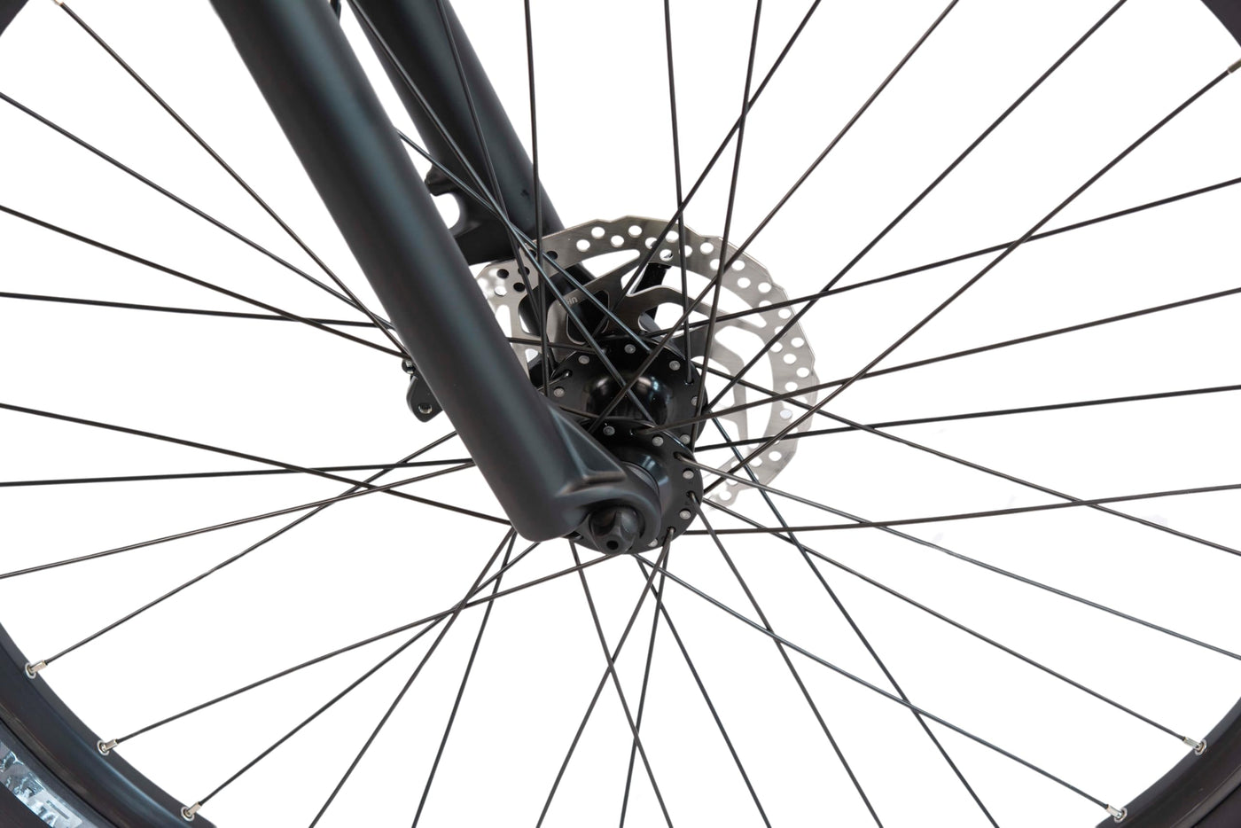 F.lli Schiano Galaxy 20 Zoll E-bike Pedelec , e bike Elektrofahrräder für Herren / Damen bis 25 km/h Klapprad mit Motor Shimano Gang Getriebe comfort Fahrrad für Erwachsene Bicycle Elektrofahrrad