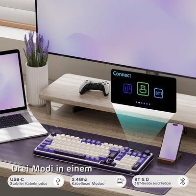 RK ROYAL KLUDGE S98 DE Mechanische Tastatur mit Smart Display & Knopf, Top Mount 96% Kabellose Mechanische Tastatur BT/2.4G/USB-C, Hot-Swap-fähige, Software-Unterstützung, 98 Tasten, QWERTZ
