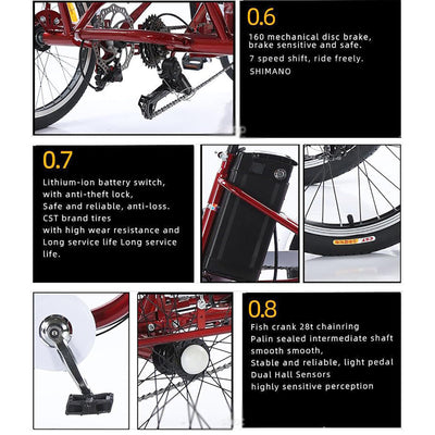 20″ Elektro Dreirad FüR Erwachsene, 7-Gang 3-Rad Elektrofahrrad, Mit Herausnehmbarem 48V 12Ah Akku (35–45 Km Reichweite), Verstellbarem Sitz (80–92 cm), Mit Scheinwerfer + Hupe B