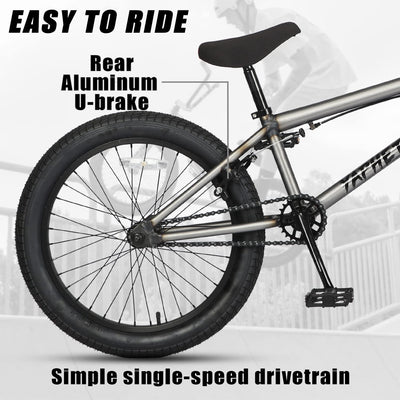AVASTA Hesper 20 Zoll Kinderfahrrad Freestyle BMX mit 4 Pegs Fahrräder für 6-14 Jahre alte Jungen und Anfänger,Grau