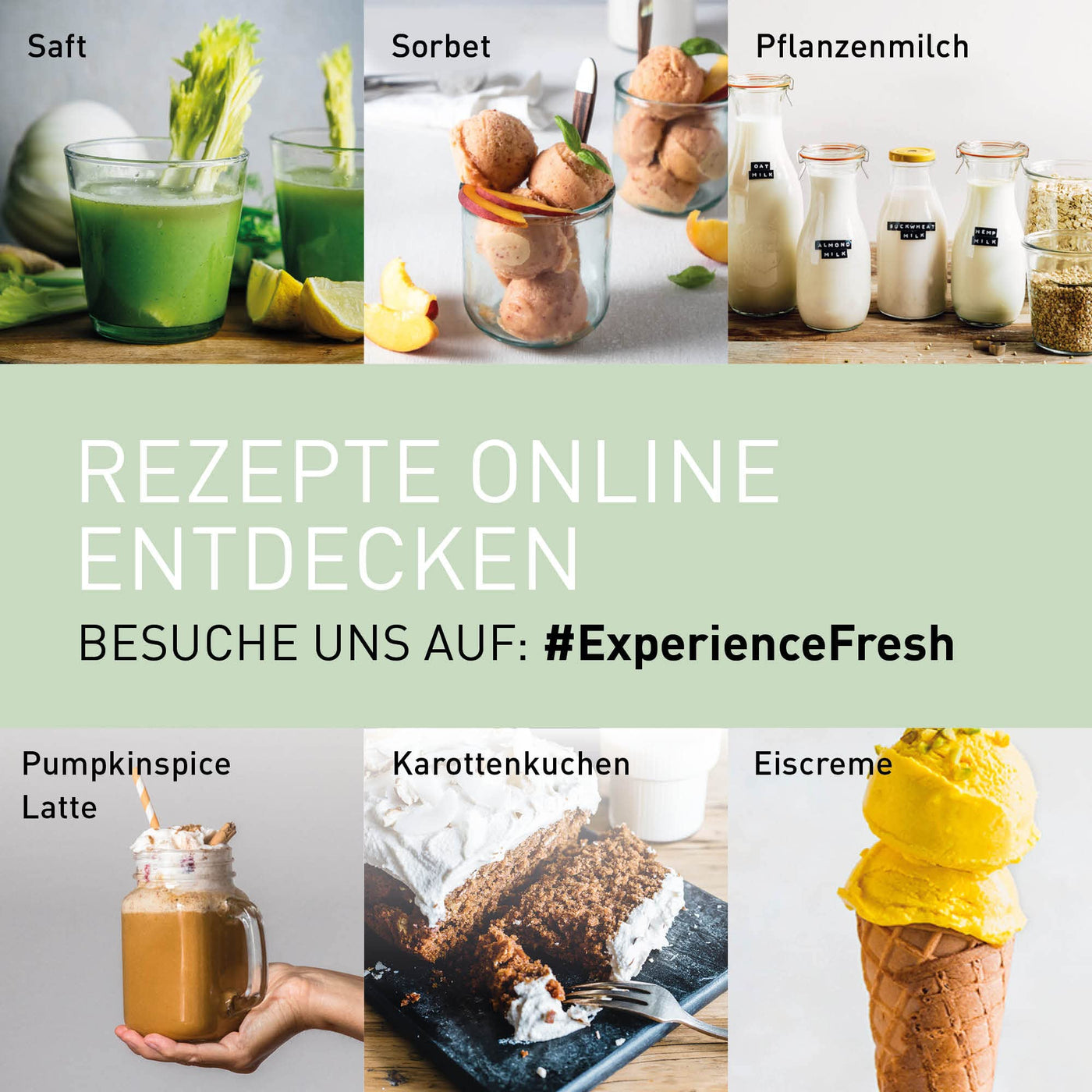 Panasonic MJ-L500S Slow Juicer / Entsafter / 2 Einsätze für Säfte & tiefgefrorene Zutaten / Frozen Joghurt / Silber