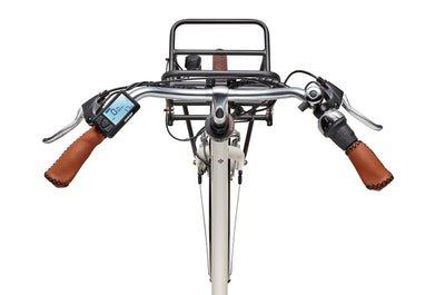 TELEFUNKEN E-Bike Elektrofahrrad 28 Zoll mit 7-Gang Nabenschaltung, Retro Pedelec Citybike mit Gepäckträger und Fahrradschloss, Frontmotor 250 W und 13 Ah, 36V Li-Ion Akku, RT540 Multitalent