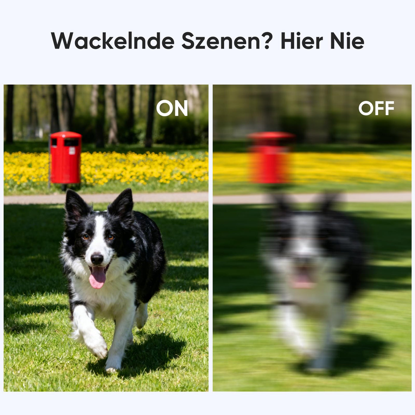 ORDRO M5 Kreativ Combo, vlog kamera mit 3.5" Flip Bildschirm 120° Sichtfeld, 3-Achsen-Stabilisierung, Gesichtsverfolgung, Zeitraffer, Slow Motion, IR Nachtsicht Videokamera für Reisen