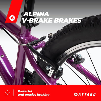 ATTABO Kinder-MTB JR Mountainbike mit Aluminiumrahmen 12" Violett Kinderfahrrad mit 24" Rädern mit Zubehör Ergonomischer Lenker V-Brake Verstellbarer Sattel 8-Gang-Kettenschaltung