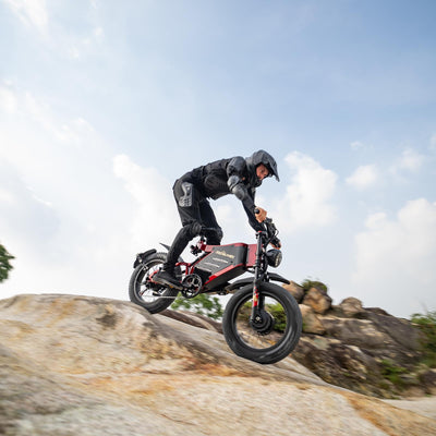 RZOGUWEX Elektrofahrrad, 20 Zoll 160NM Doppelmotor-Offroad-EBIKE für Erwachsene mit abnehmbarem 48V 30AH Lithium-Ionen-Akku, doppelte hydraulische Scheibenbremse