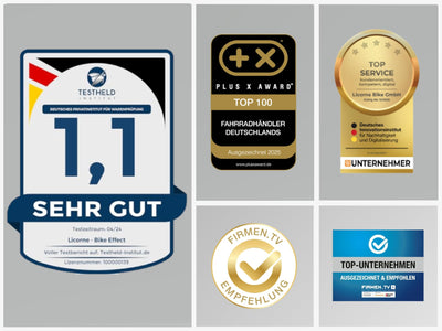 Licorne Bike Effect Premium Mountainbike Aluminium Discbremse Jungen Mädchen 21 Gang Schwarz/Anthrazit (2xDisc-Bremse)