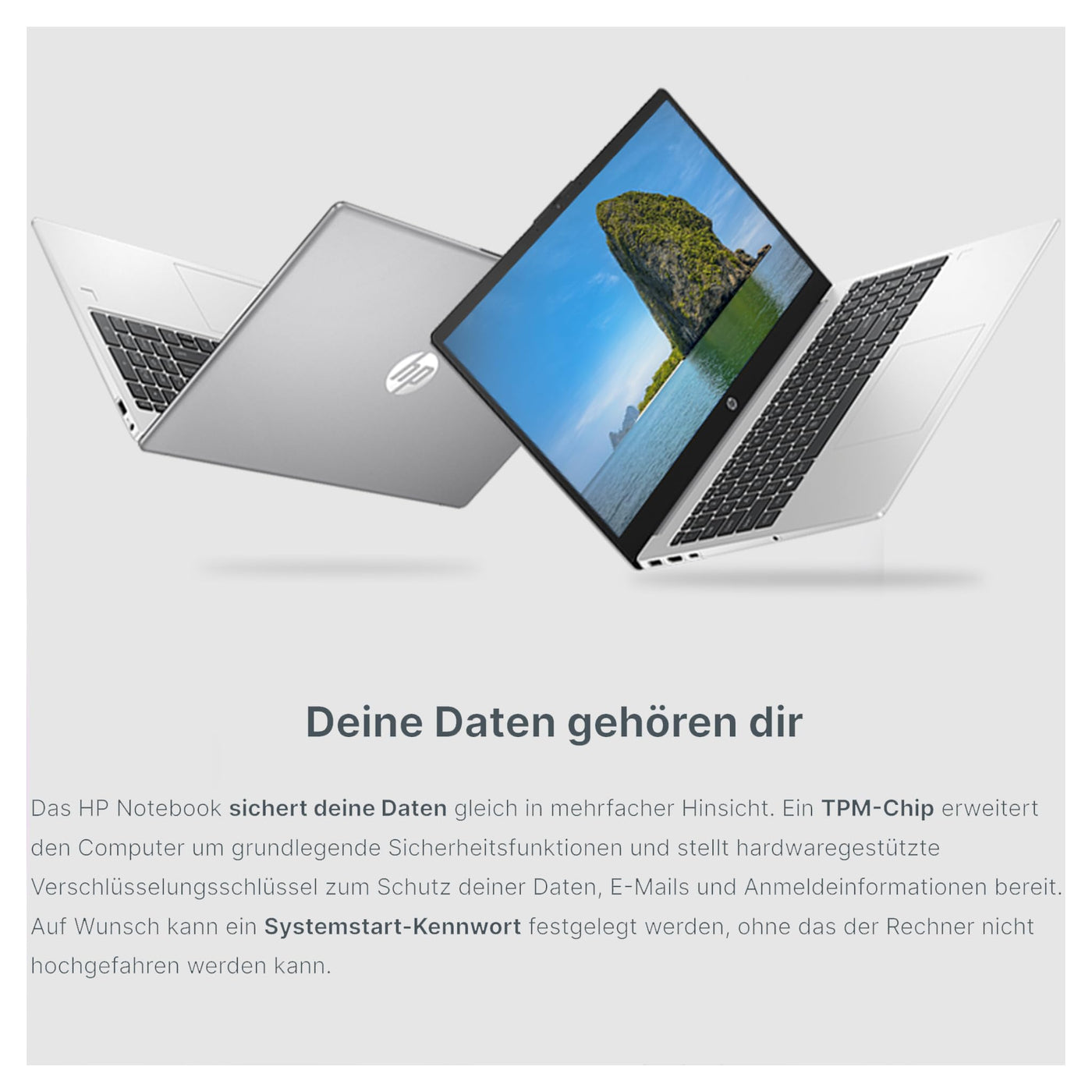 HP 250 G10 Laptop, Intel Core i7-1355U, 15,6" FHD Display, 32 GB DDR4 RAM, 1 TB PCIe SSD, Intel Iris Xe Grafik, QWERTZ Tastatur, Windows 11 Pro, Silber+ NPO Rucksack