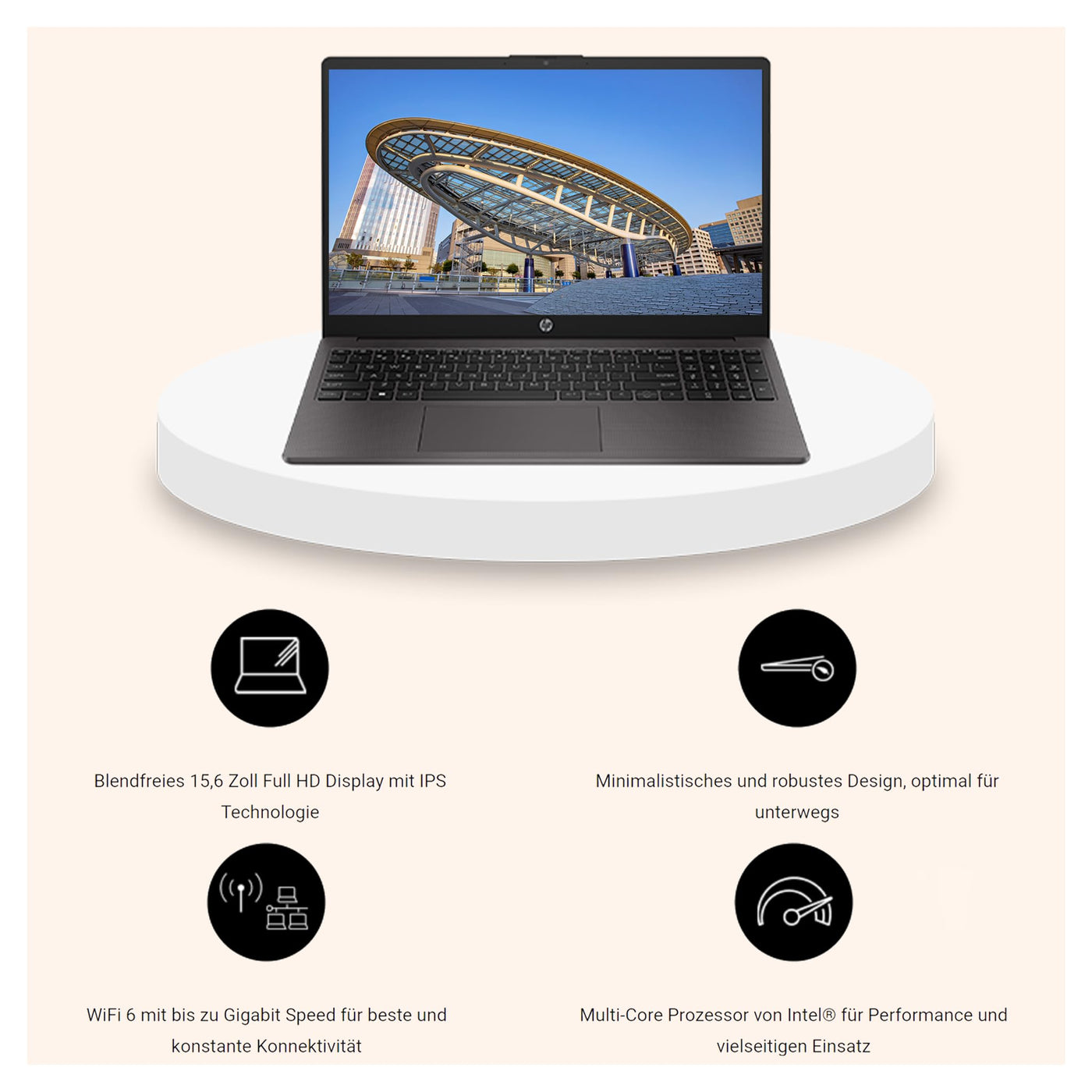 HP 250 G10 Business Laptop, Intel Core i5-1335U, 16 GB DDR4 RAM, 1 TB PCIe SSD, 15.6" IPS FHD Display, Intel Iris Xe Graphics, QWERTZ Tastatur, Windows 11 Pro, Grau