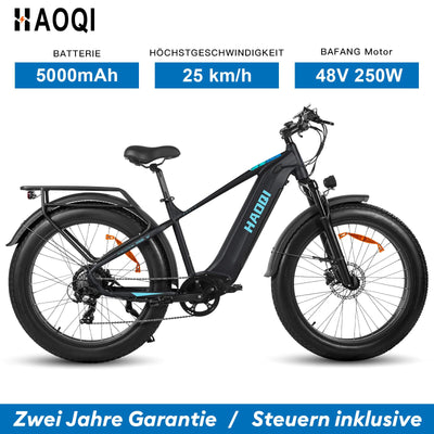 HAOQI Eagle Elektrofahrrad für Erwachsene, 250W bürstenloser Motor Mountainbike mit 48V 20AH herausnehmbarem Akku,26" x 4.0 Fat Tire Ebike, Elektrofahrrad mit 7 Gängen bis zu 25 km/h