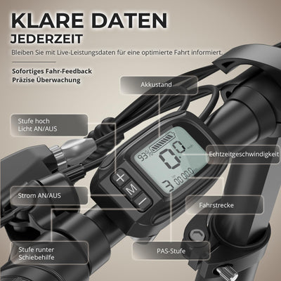 Fafrees E-Bike Klapprad 20 Zoll, Elektrofahrrad mit 36V 20AH Akku, 75-90km Reichweite, 250W Motor, IP54 & Federung, E-Bike Damen/Herren, Faltbar, LCD-Display, 3 Fahrmodi (F20+, Schwarz)