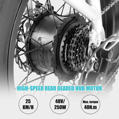 HILAND 20 Zoll 4.0 Fat Tire E Bike Cargo für Erwachsene, Aluminium Alloy Frame Fat Tire Elektrofahrrad, Suspension Fork Elektrofahrrad mit Gepäckträger für Damen und Herren Silber