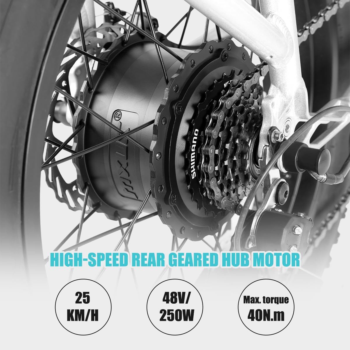 HILAND 20 Zoll 4.0 Fat Tire E Bike Cargo für Erwachsene, Aluminium Alloy Frame Fat Tire Elektrofahrrad, Suspension Fork Elektrofahrrad mit Gepäckträger für Damen und Herren Silber