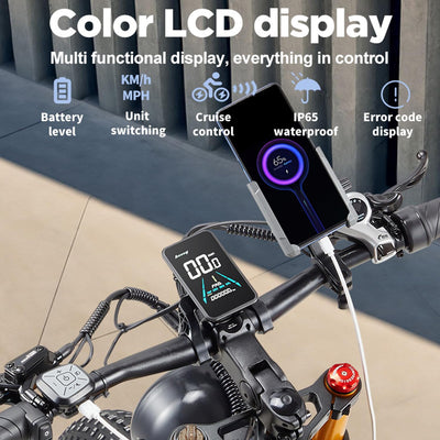 BURCHDA RX80 Elektrisches Mountainbike für Erwachsene, 26 Zoll 4.0 Fat Tire, 48V20AH Batterie 7-Gang Öl-Doppelbremse, Dual Shock Absorption Elektrofahrrad mit Unterstützung，Mit Heckklappenrahmen