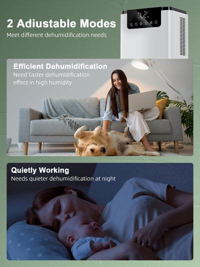 Luftentfeuchter Elektrisch, 2200ml Raumentfeuchter Leise Dehumidifier Mit Funktion Abtauen & Schlafmodus, Luftreinigung und Gegen Feuchtigkeit, Ideal für Schlafzimmer Keller