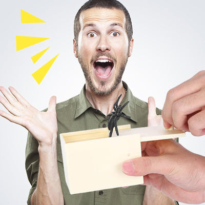 2 Pcs Spinne In Der Box Spider Box Prank Box Spider Prank Box Spinne Spider Prank Toy Spinnen Box Spinne In Der Box Spider Box Prank Box Spider Prank Box Spinne Spider Prank Toy Spinnen Box Spider Box