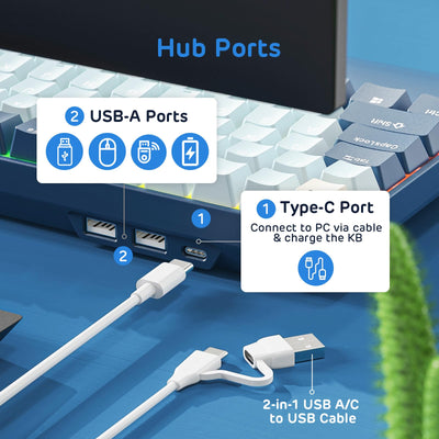 RK ROYAL KLUDGE RK96 RGB Limited Ed, 90% 96 Tasten Triple Mode Bluetooth 5.0/2.4G/USB-C Hot-Swap-fähige mechanische Tastatur mit Software und massivem Akku, RK Yellow Switch, Wald Blau, QWERTY