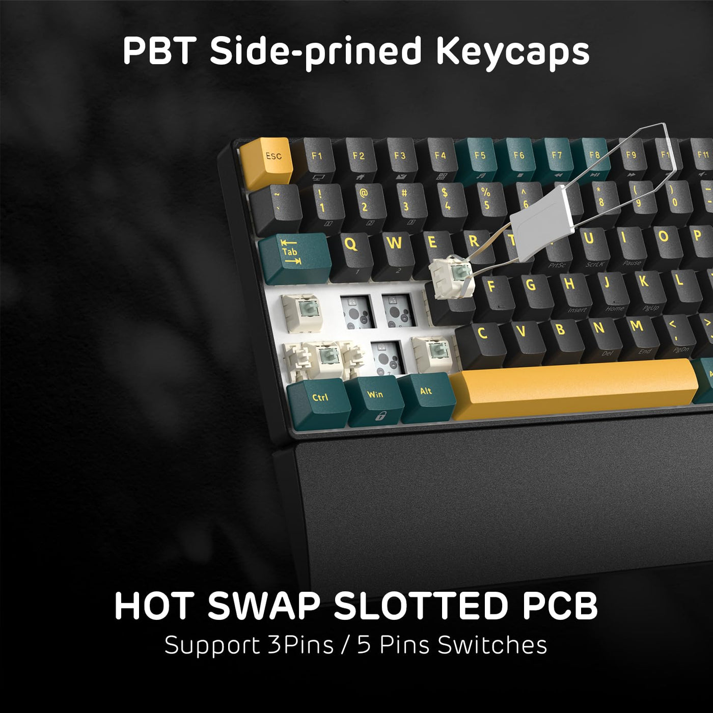 RK ROYAL KLUDGE RK96 RGB Limited Ed, 90% 96 Tasten Kabellose Tri-Modus BT5.0/2.4G/USB-C Hot-Swap-fähige Mechanische Tastatur mit Handballenauflage, Software-Unterstützung, Lineare Schalter, QWERTY