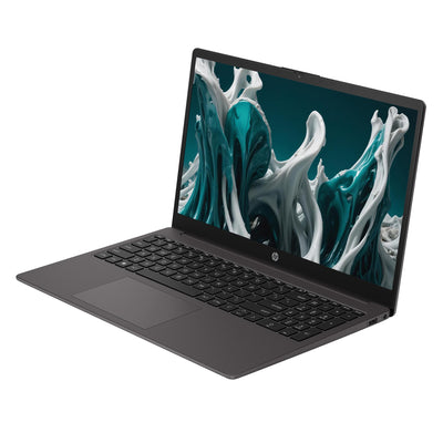 HP 250 G10 Business Laptop, Intel Core i5-1335U, 32 GB DDR4 RAM, 2 TB PCIe SSD, 15.6" IPS FHD Display, Intel Iris Xe Graphics, QWERTZ Tastatur, Windows 11 Pro, Grau