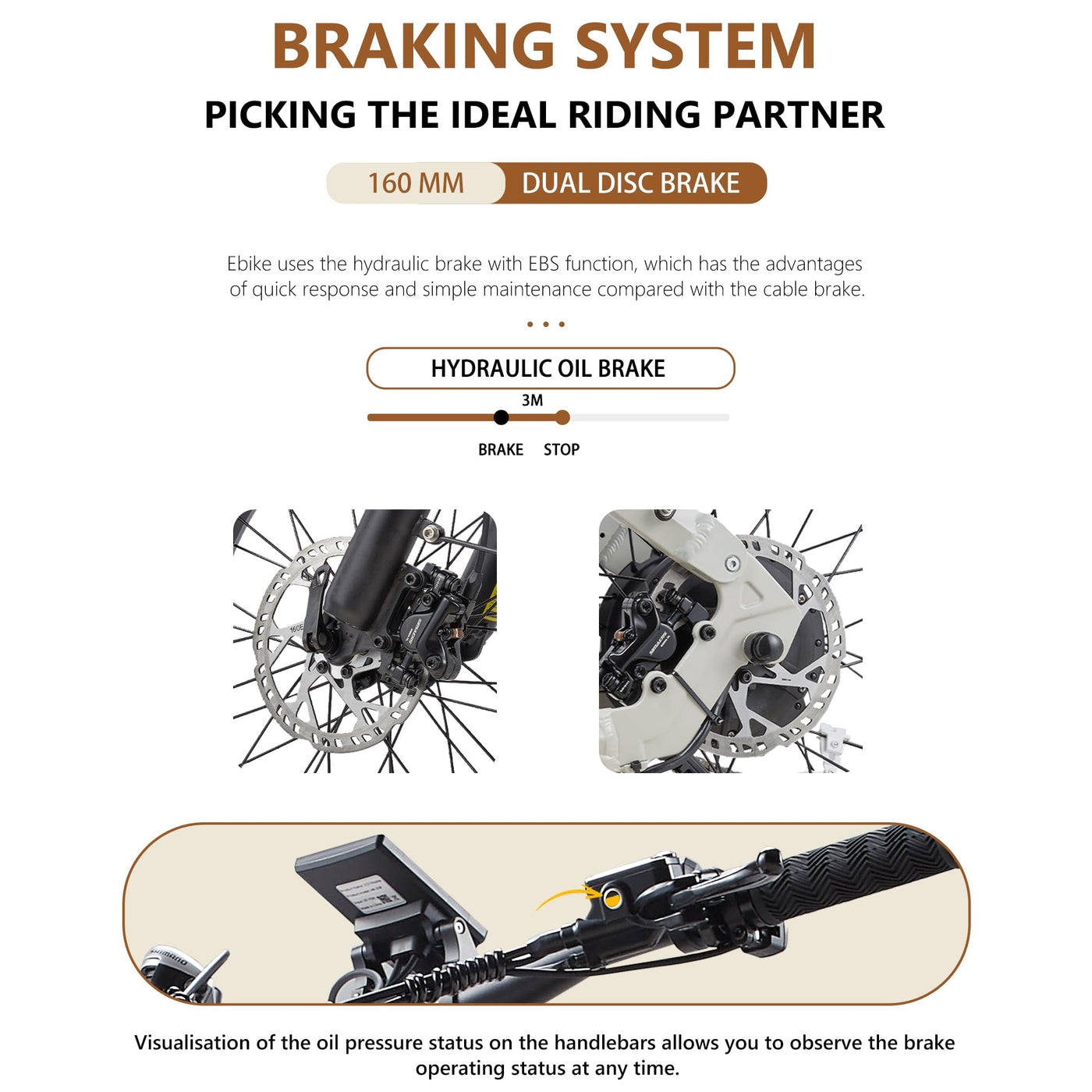 CEAYA Ebike Herren Damen Elektrofahrrad A20 PRO E-Bike Mountianbike 20 Zoll mit 48V20AH,7 Gang,Doppel federung Doppelscheibenbremse,Fat e Bike