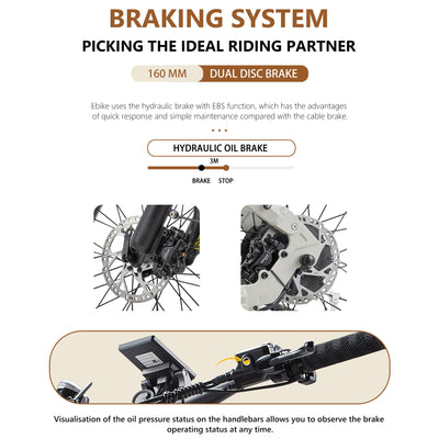 CEAYA Ebike Herren Damen Elektrofahrrad A20 PRO E-Bike Mountianbike 20 Zoll mit 48V20AH,7 Gang,Doppel federung Doppelscheibenbremse,Fat e Bike