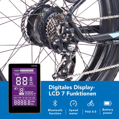 HAOQI Eagle Elektrofahrrad für Erwachsene, 250W bürstenloser Motor Mountainbike mit 48V 20AH herausnehmbarem Akku,26" x 4.0 Fat Tire Ebike, Elektrofahrrad mit 7 Gängen bis zu 25 km/h