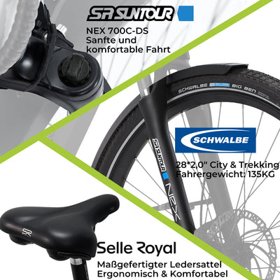 DERUIZ E-Bike 28 Zoll E Bike Damen Elektrofahrrad Herren Pedelec Citybike, 250W/48V/13,4AH 40N.m BAFANG Motor, Trekking Ebike Cityrad für Damen, 25km/h, QUARTZ Grey