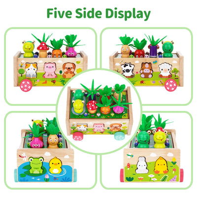 KMTJT Montessori Spielzeug ab 1 2 3 Jahr | Holz Karotten Steckspiel ab 1 Jahr | Montessori Geschenk 1 2 Jahr Mädchen Jungen | Kinder Holzspielzeug Motorikspielzeug ab 1 Jahr