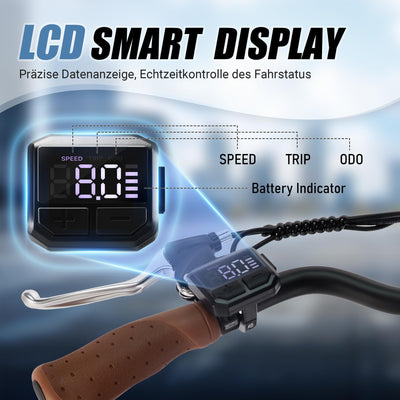 SPATIAL E Bike Klappard, 20 Zoll Elektrofahrrad, 40NM 250W Motor 36V 374.4Wh Batterie, 7 Gang Schaltung LCD Anzeige, Herren Damen City Ebike