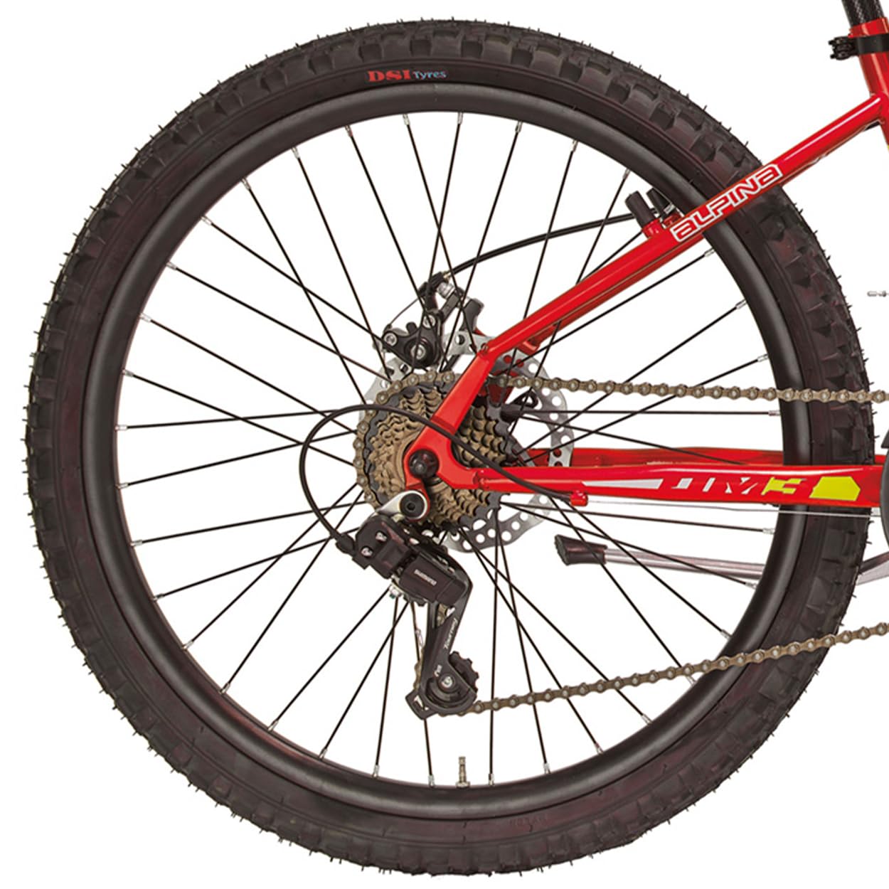 Alpina Bike Jungen Flip Mountainbike, Rot, 24