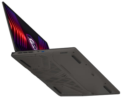 MSI Sword 17 HX, Gaming Laptop, 17,0" FHD+, Intel® Core™ i7 Prozessor 14650HX, 16 GB DDR5-5600 RAM, 1 TB, NVIDIA® GeForce RTX™ 4060, Windows 11 Home, QWERTZ Tastatur, B14VFKG-276