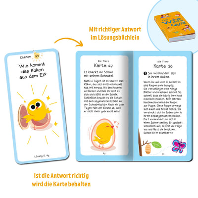 moses. Das Wie-Quiz, Kinder Wissensquiz mit 100 spannenden Wie-Fragen, Kinderquiz rund um Allgemeinwissen, Ratespiel für neugierige Kids ab 6 Jahren, Yellow