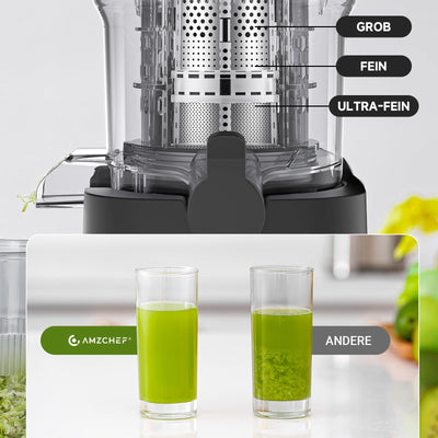 AMZCHEF Entsafter - Slow Juicer mit 135MM Breite und Größere Fütterungsröhre für Ganze Gemüse und Obst - Leicht zu Reinigender Entsafter mit 2 Gläsern - Silber