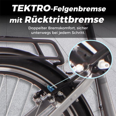 SAXONETTE E Bike Damen 28 Zoll mit Rücktrittbremse und nabenschaltung, Elektro Fahrrad Erwachsene mit 36V 13Ah BMS Akku, 7 Gang Pedelec mit Federgabel, Ebikes mit Gepäckträger für Damen und Herren