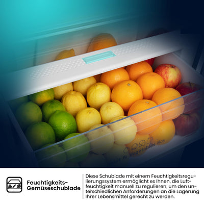 Hisense RB440N4ACA Kühl-Gefrier-Kombination/Höhe 201 cm/Kühlen 178 L/Gefrieren 98 L/LED Beleuchtung, Edelstahl