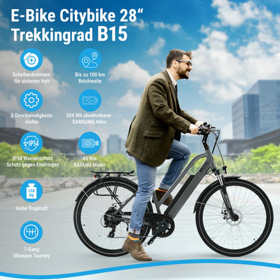 AsVIVA B15 E-Bike 28 Zoll für Herren & Damen - Pedelec mit 250W Bafang Hinterradmotor - 36V Samsung Akku - 7-Gang Shimano - bis 150 kg Nutzergewicht - Citybike Elektrofahrrad (grau-schwarz)