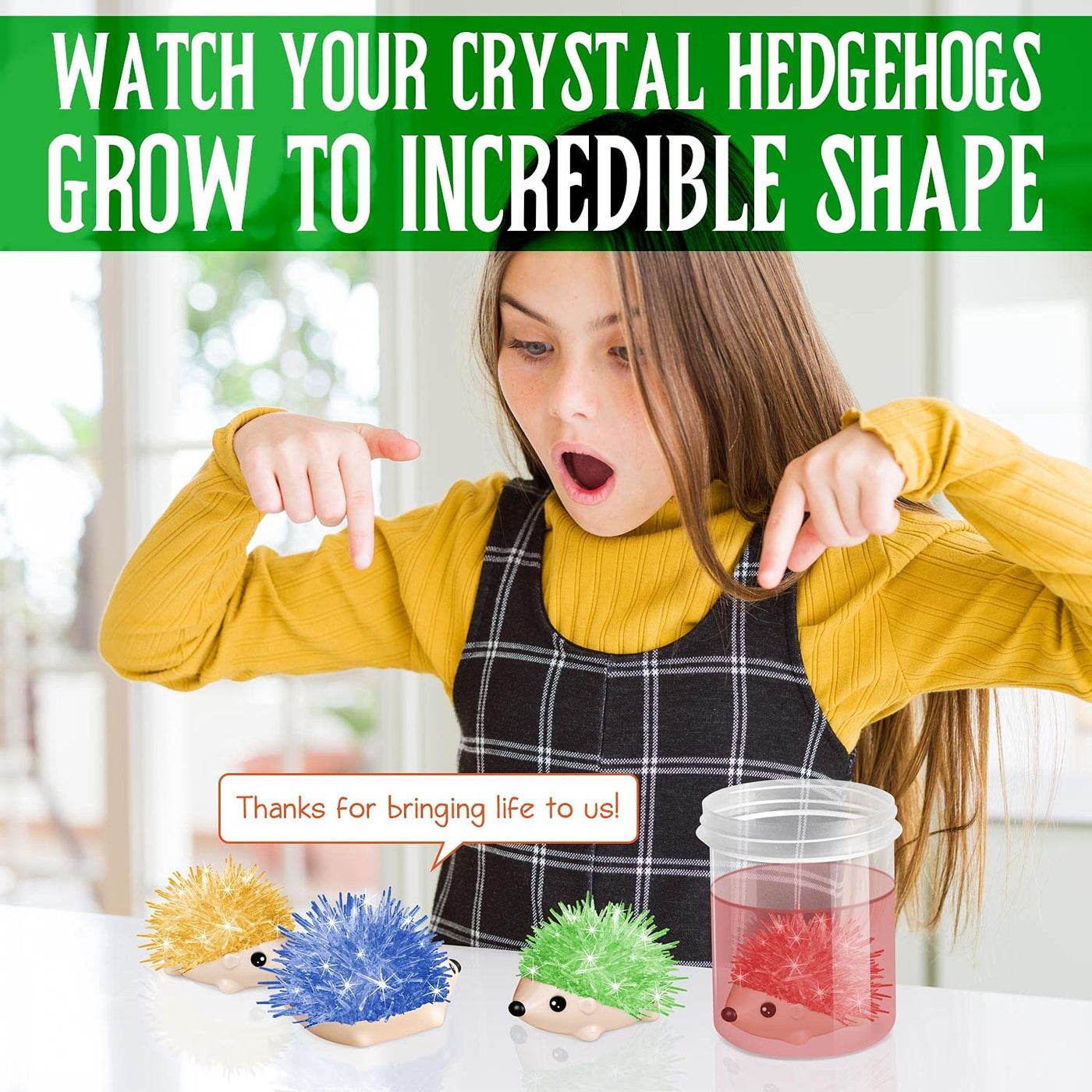 Dr. Daz Igel Kristalle Züchten - Kristall Zucht Hedgehog, 4 Stück - Experimente für Kinder ab 6 7 8 9 10 Jahre - Crystal Growing Spielzeug Geschenk Junge