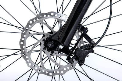 moma bikes Unisex-Adult EMTB 29" PRO Full SUSP. M-L Central Motor, Grey/Black