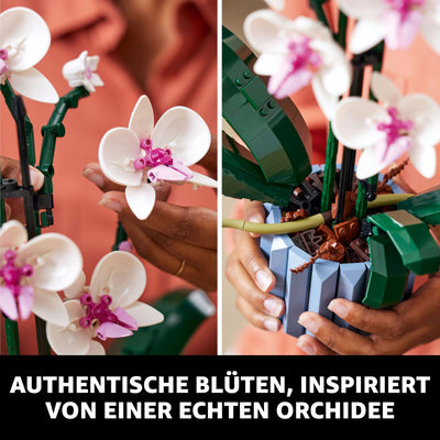 LEGO Botanicals Orchidee - Künstliche Pflanzen Set mit weißen und rosa Blumen - Modellbausatz für Erwachsene - Home und Zimmer-Deko - Botanik Kollektion - Geschenke für Frauen und Männer 10311